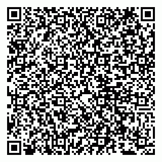 vCard 79807260699