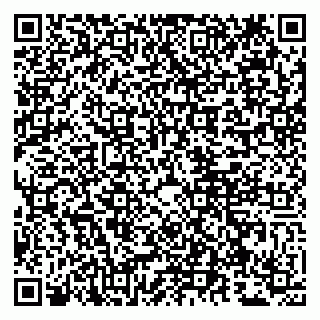 vCard 79807260700