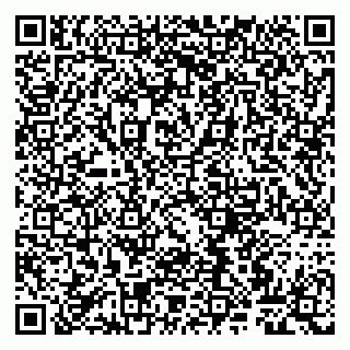 vCard 79807260702