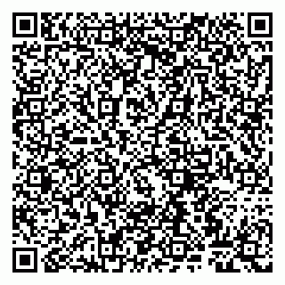 vCard 79807260703