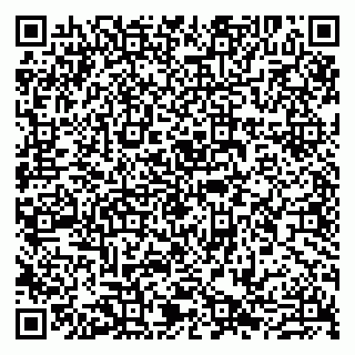 vCard 79807260704