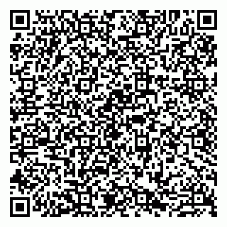 vCard 79807260711