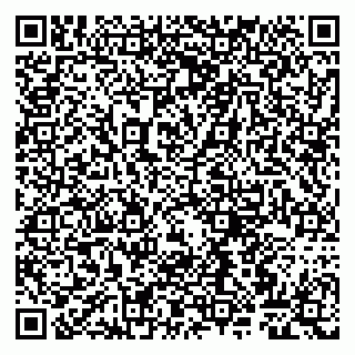 vCard 79807260713