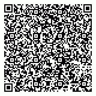 vCard 79807260721