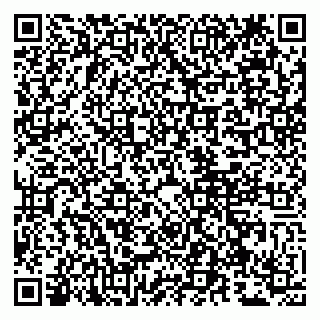 vCard 79807260729