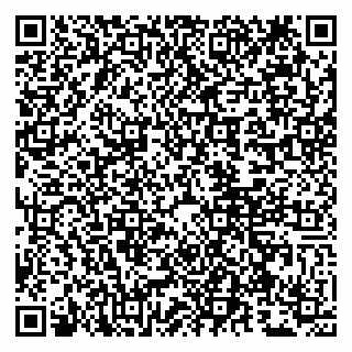 vCard 79807260731