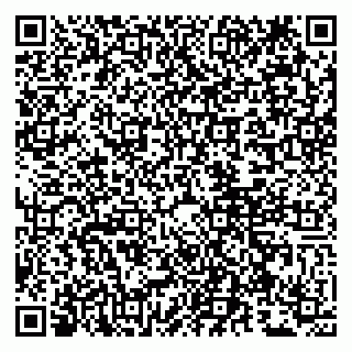 vCard 79807260739