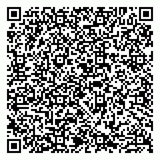 vCard 79807260784