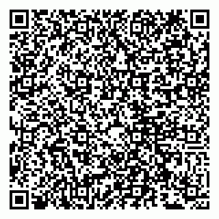 vCard 79807260787
