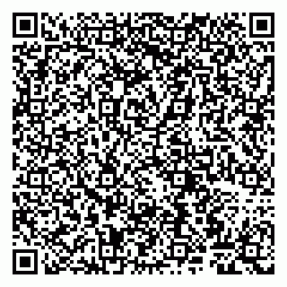 vCard 79807260864