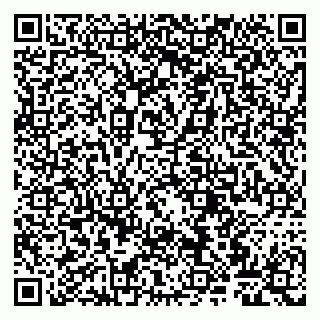 vCard 79807260881