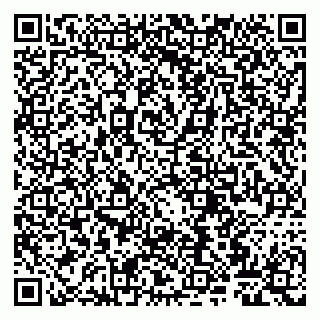 vCard 79807260896