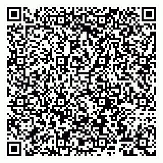 vCard 79807260900