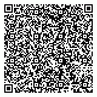 vCard 79807260902