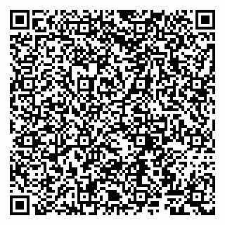 vCard 79807260903