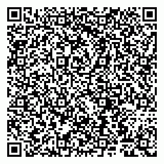vCard 79807260917