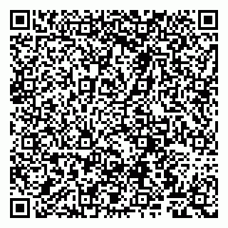 vCard 79807260929