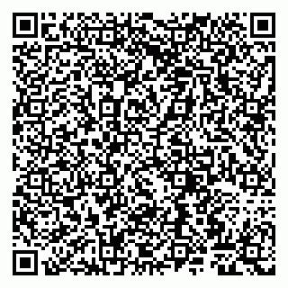 vCard 79807260931