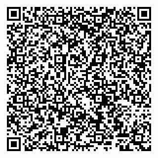 vCard 79807260938