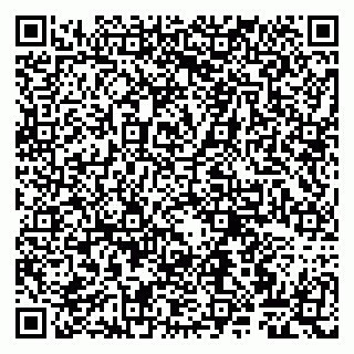 vCard 79807261033