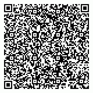 vCard 79807261184
