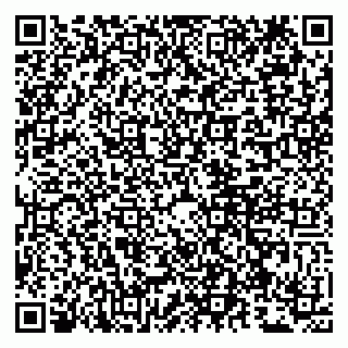 vCard 79807261299