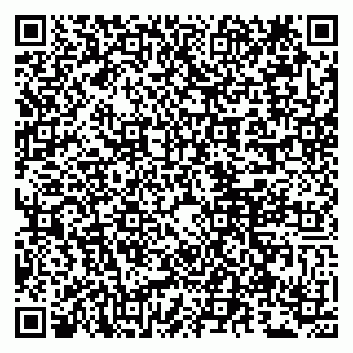vCard 79807261300