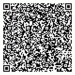vCard 79807261307