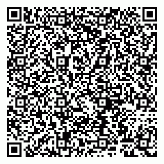 vCard 79807261311