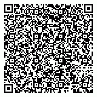 vCard 79807261312