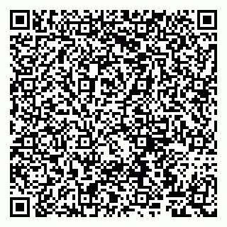 vCard 79807261317