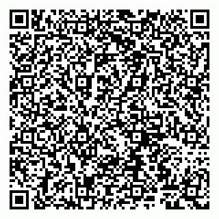 vCard 79807261331