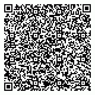 vCard 79807261385