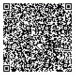 vCard 79807261387