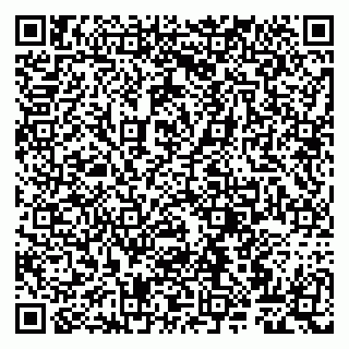 vCard 79807261900