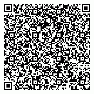 vCard 79807261903