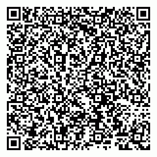 vCard 79807261933