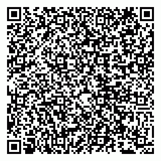 vCard 79807262087