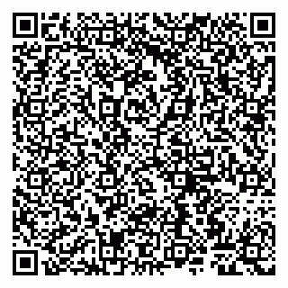 vCard 79807262211