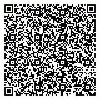 vCard 79807262333