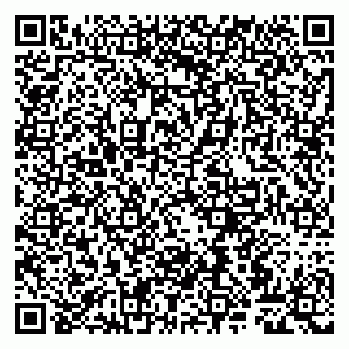 vCard 79807262528