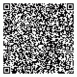 vCard 79807262700