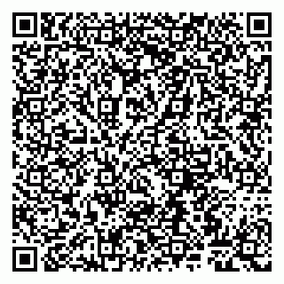 vCard 79807262704