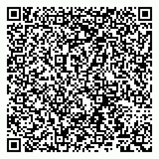 vCard 79807262729