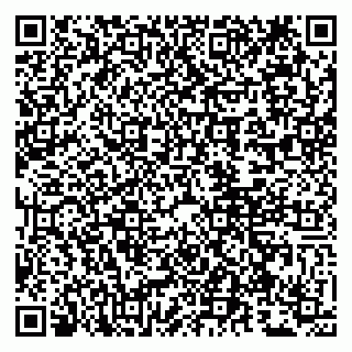 vCard 79807262732