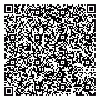 vCard 79807262933