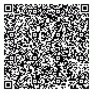 vCard 79807263037