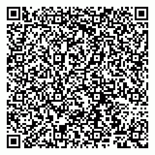 vCard 79807263039