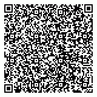 vCard 79807263077