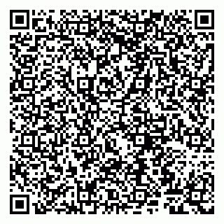 vCard 79807263137